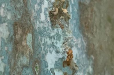 Camera mortuaria del Fazzi, muffe e aria irrespirabile: segnalazioni e proteste ai carabinieri - Corriere Salentino