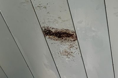 Camera mortuaria del Fazzi, muffe e aria irrespirabile: segnalazioni e proteste ai carabinieri - Corriere Salentino