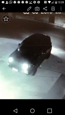 Follia e orrore: travolge un cane e poi in retromarcia lo rischiaccia e lo uccide - Corriere Salentino