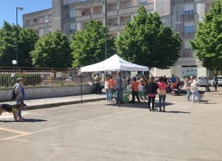 Nardò, domenica c’è il Microchip Day