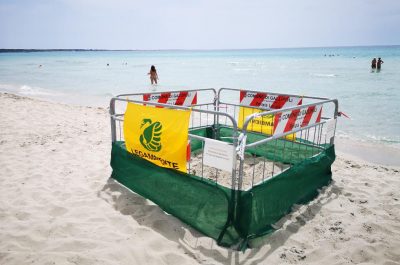 Il Salento della Caretta Caretta. Due nidi in poche ore sul litorale Ionico - Corriere Salentino