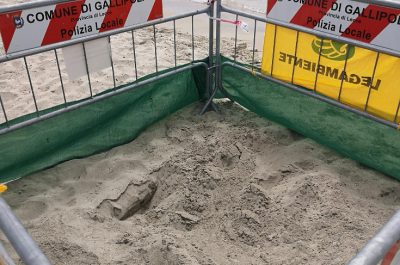 Il Salento della Caretta Caretta. Due nidi in poche ore sul litorale Ionico - Corriere Salentino