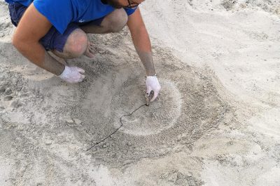 Il Salento della Caretta Caretta. Due nidi in poche ore sul litorale Ionico - Corriere Salentino