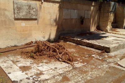 Andrea Guido: “Cimitero comunale in completo stato di abbandono, degrado e sporcizia hanno preso il sopravvento” - Corriere Salentino