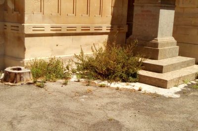 Andrea Guido: “Cimitero comunale in completo stato di abbandono, degrado e sporcizia hanno preso il sopravvento” - Corriere Salentino