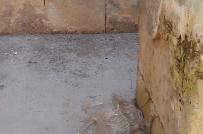 Andrea Guido: “Cimitero comunale in completo stato di abbandono, degrado e sporcizia hanno preso il sopravvento” - Corriere Salentino
