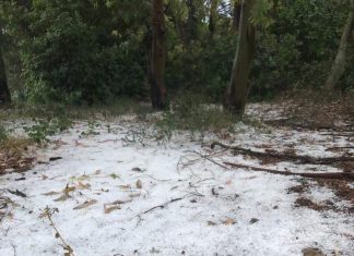 Cia Agricoltori, “in 100 giorni, Puglia colpita 16 volte da grandine e calamità”