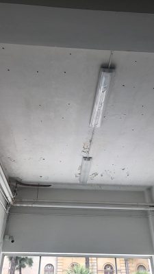 Guardia medica a Lecce, la denuncia dello “Sportello dei Diritti”: Lavori in corso e blatte mentre l’utenza è in attesa - Corriere Salentino