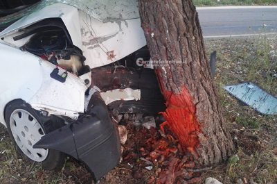 Esce fuori strada mentre si reca a lavoro e si schianta contro un albero: grave 19enne - Corriere Salentino