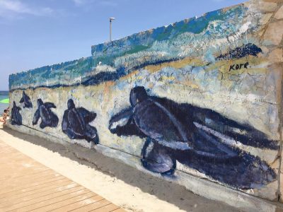"Tartarughe e libertà", al via oggi la V stagione de La Terrazza “Tutti al mare!” di San Foca - Corriere Salentino