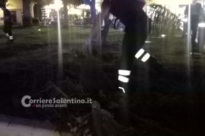 Tragedia sfiorata in piazzetta Santa Chiara, grosso ramo rischia di travolgere ciclista - Corriere Salentino