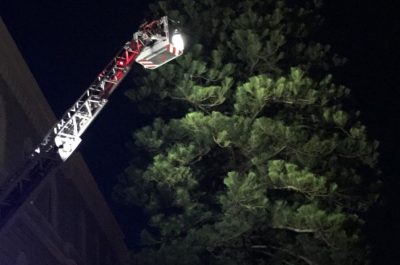 Tragedia sfiorata in piazzetta Santa Chiara, grosso ramo rischia di travolgere ciclista - Corriere Salentino