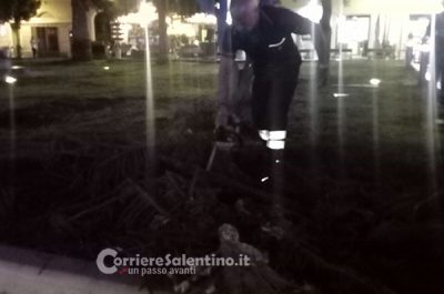 Tragedia sfiorata in piazzetta Santa Chiara, grosso ramo rischia di travolgere ciclista - Corriere Salentino