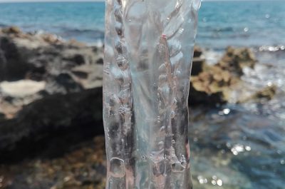 Tricase Porto, bagnanti invasi da strane creature - Corriere Salentino