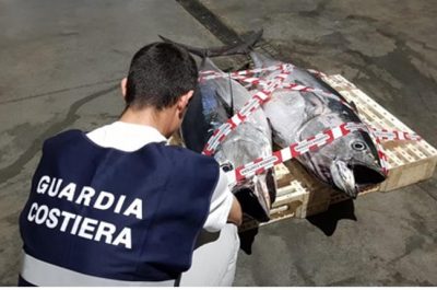 Pesca di frodo a Castro, sequestrato un quintale di tonno rosso - Corriere Salentino
