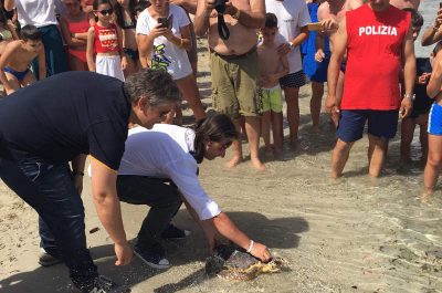 "Tartarughe e libertà", al via oggi la V stagione de La Terrazza “Tutti al mare!” di San Foca - Corriere Salentino