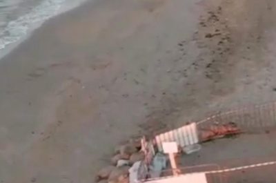 Una cassa armonica dove prima nidificava la Caretta, l’appello di Guido: “Tuteliamo questa spiaggia” - Corriere Salentino