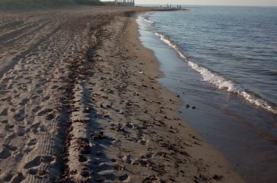 Una cassa armonica dove prima nidificava la Caretta, l’appello di Guido: “Tuteliamo questa spiaggia” - Corriere Salentino