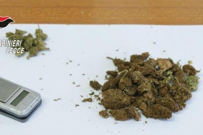 Nell'armadio spuntano 250 grammi di "erba" e cocaina, coppia nei guai. Altre due denunce per spaccio - Corriere Salentino