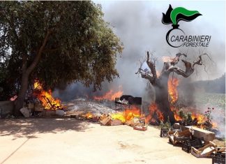 Appicca il fuoco per smaltire cartoni e pedane e scatena un “inferno”, nei guai anche un carrozziere