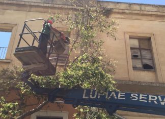 Sfalcio e manutenzione del verde, il calendario degli interventi di Lupiae Servizi