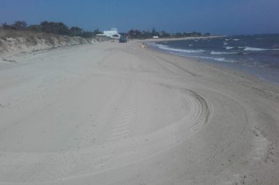 Angela Valli assessore all’ambiente, idee ed obbiettivi per una città da rendere all’altezza della sua fama - Corriere Salentino