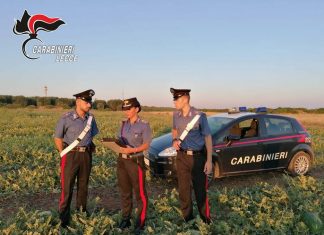 Al lavoro per 15 ore al giorno, senza riposi né paga: denunciato imprenditore agricolo e maxi multa