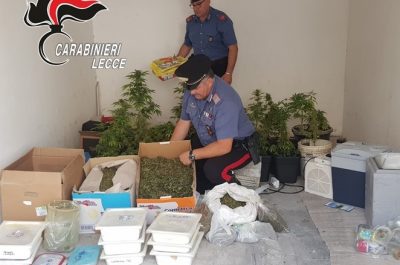 In casa 58 piante di marijuana e quasi 18 chili di "erba": 36enne finisce in carcere - Corriere Salentino