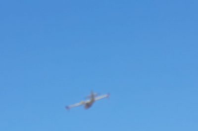 Punta della Suina brucia ancora, vasto rogo distrugge pineta: un cadavere tra le fiamme - Corriere Salentino