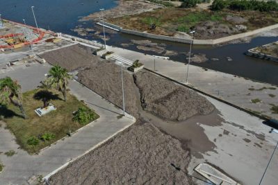 Il calvario delle alghe di Frigole e della Darsena di San Cataldo, vecchi problemi che si ripresentano - Corriere Salentino