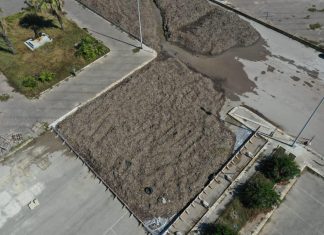 Questione Darsena, la maggioranza non si presenta in Commissione: “accanimento a esclusivo fine mediatico”