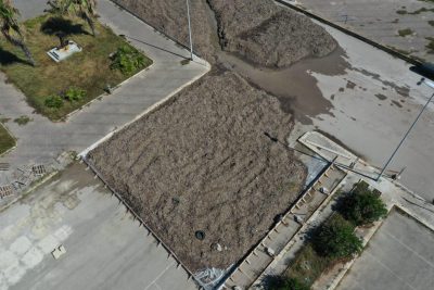 Il calvario delle alghe di Frigole e della Darsena di San Cataldo, vecchi problemi che si ripresentano - Corriere Salentino