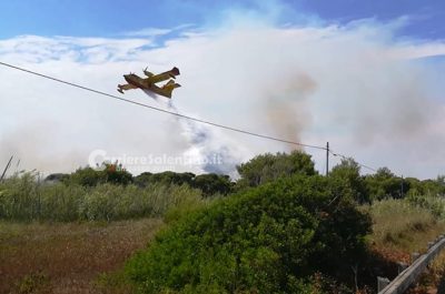 Punta della Suina brucia ancora, vasto rogo distrugge pineta: un cadavere tra le fiamme - Corriere Salentino
