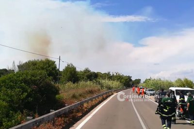 Punta della Suina brucia ancora, vasto rogo distrugge pineta: un cadavere tra le fiamme - Corriere Salentino