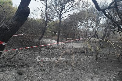 Punta della Suina brucia ancora, vasto rogo distrugge pineta: un cadavere tra le fiamme - Corriere Salentino