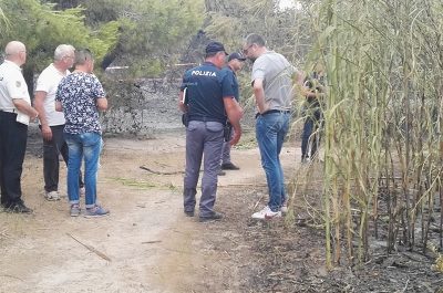 Punta della Suina brucia ancora, vasto rogo distrugge pineta: un cadavere tra le fiamme - Corriere Salentino