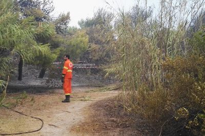 Punta della Suina brucia ancora, vasto rogo distrugge pineta: un cadavere tra le fiamme - Corriere Salentino
