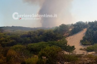 Punta della Suina brucia ancora, vasto rogo distrugge pineta: un cadavere tra le fiamme - Corriere Salentino