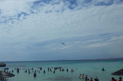 Punta della Suina brucia ancora, vasto rogo distrugge pineta: un cadavere tra le fiamme - Corriere Salentino