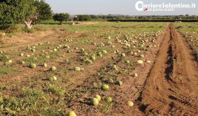 Troppi impreparati e pigri o mondo del lavoro salentino sfruttatore e mal pagante? Cresce l’emigrazione al nord - Corriere Salentino