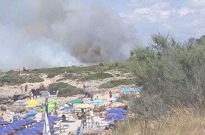 Punta della Suina brucia ancora, vasto rogo distrugge pineta: un cadavere tra le fiamme - Corriere Salentino