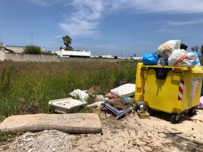 Aggrediti dalle zanzare tigre padre e figlio di due anni finiscono in ospedale: la protesta per un parco nel degrado - Corriere Salentino