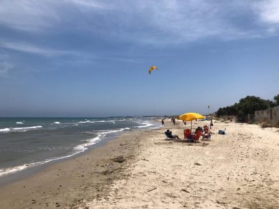 Aggrediti dalle zanzare tigre padre e figlio di due anni finiscono in ospedale: la protesta per un parco nel degrado - Corriere Salentino