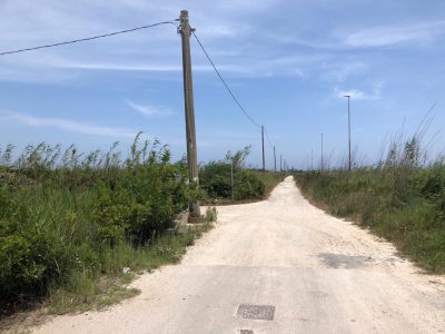 Aggrediti dalle zanzare tigre padre e figlio di due anni finiscono in ospedale: la protesta per un parco nel degrado - Corriere Salentino