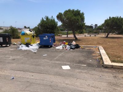 Aggrediti dalle zanzare tigre padre e figlio di due anni finiscono in ospedale: la protesta per un parco nel degrado - Corriere Salentino