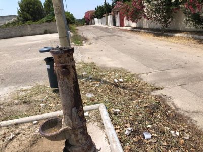 Aggrediti dalle zanzare tigre padre e figlio di due anni finiscono in ospedale: la protesta per un parco nel degrado - Corriere Salentino