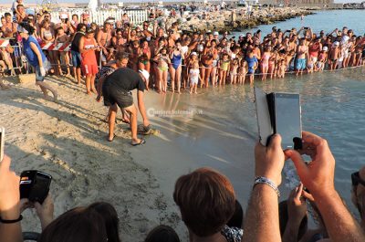 Di nuovo in mare verso nuove avventure: tornano libere due Caretta caretta e una rara tartaruga verde - Corriere Salentino