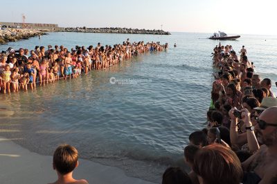 Di nuovo in mare verso nuove avventure: tornano libere due Caretta caretta e una rara tartaruga verde - Corriere Salentino