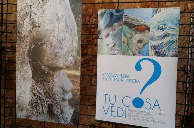 “Tu cosa vedi?”: gli ulivi di Carlo Toma in un percorso immersivo che invita ad andare oltre le apparenze - Corriere Salentino