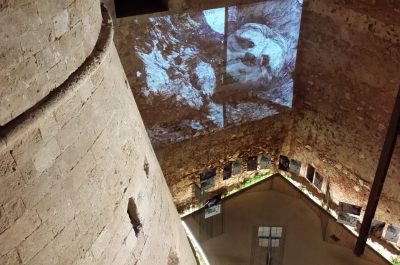 “Tu cosa vedi?”: gli ulivi di Carlo Toma in un percorso immersivo che invita ad andare oltre le apparenze - Corriere Salentino